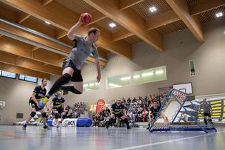 Finale de la Coupe suisse 2022 Â· Val-de-Ruz Flyers â La Chaux-de-Fonds Beehives

Photo par David Sandoz

3U9A1889